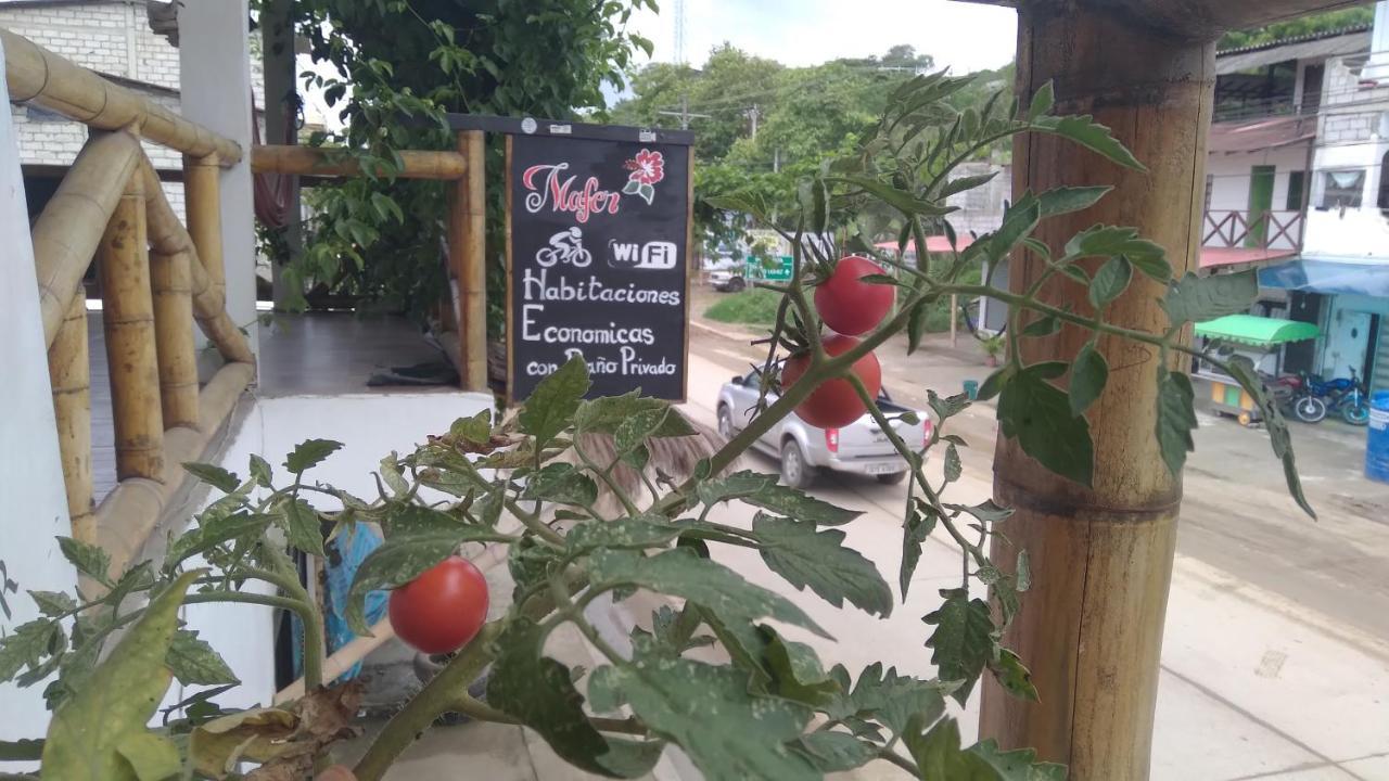 Casa Mafer Lodge Montañita Εξωτερικό φωτογραφία